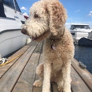 Meet your Posher, Jaime